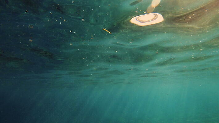 동물 야생동물 바다 컬러 여행 백그라운드 자연 멕시코 어류 사람없음 빨간색 물 여름 파란색 빛 햇빛 태양 뷰티 수중 수영 광선 동굴 산호 아래 사진사 생태계 다이빙 장면 암초 깊이 칸쿤 4K 수중영상 MOV 해외동영상 클립영상 자연요소 계절 북아메리카 수중동물 수상스포츠 자포동물 방향 작가 위치 동영상 수중스포츠 파일형식