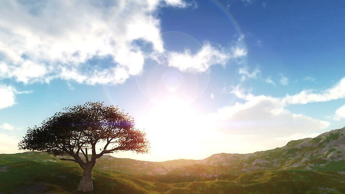 나무 식물 구름 계절 실루엣 백그라운드 밭 오렌지 자연 하늘 아침 풍경 초원 사람없음 야외 초록색 여름 빛 컬러풀 햇빛 태양 농장 노란색 일출 일몰 놀람 봄 가을 시골 땅 장면 내추럴 수평선 타임랩스 MOV 해외동영상 클립영상 주간 자연요소 감정 컬러 농업 과일 촬영기법 표정 노을 생태계 동영상 파일형식