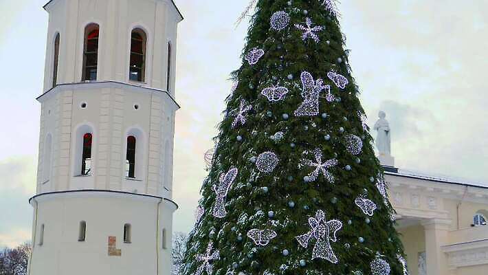 나무 유럽 종교 여행 크리스마스 겨울 건축양식 하늘 휴가 전등 거리 사람 사람없음 장식 빛 성당 교회 탑 도시 센터 시장 야간 12월 정사각형 2014년 장면 2015년 타운 고딕 리투아니아 수도권 옛날 4K MP4 해외동영상 클립영상 자연요소 도형 식물 건축물 계절 기념일 건축 나라 종교건축 조명 건물 날짜 연도 지역 동영상 파일형식