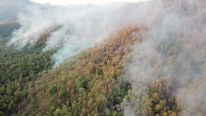 나무 구름 백그라운드 자연 하늘 바람 산 안테나 국립공원 풍경 사람없음 야외 여름 계곡 안개 시골 뜨거움 오염 연기 숲 위험 열대우림 언덕 먼지 내추럴 항공촬영 드론 위기 재앙 절정 4K MP4 해외동영상 클립영상 자연요소 식물 계절 공원 뷰포인트 컨셉 통신 날씨 생태계 동영상 파일형식