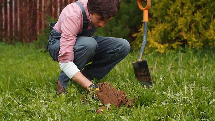 백인 라이프스타일 계절 남자 행복 농업 청소년 자연 노동자 건강 한명 잔디 야외 초록색 농장 정원 봄 시골 잡기 잡초 농부 삽 심플 리빙 땅바닥 밭일 원예사 파종 4K MP4 해외동영상 클립영상 서양인 식물 직업 1 감정 산업 컬러 모션 바닥 사람 생활 농사 생태계 동영상 파일형식