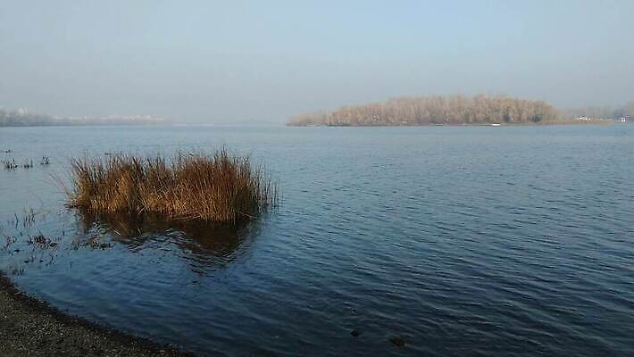 나무 호수 파도 섬 오렌지 자연 하늘 아침 사람없음 야외 건물 빨간색 물 파란색 빛 강 햇빛 반사 노란색 평화 침묵 안개 도시 보트 버드나무 장면 암초 타운 미루나무 우크라이나 수평선 4K MP4 해외동영상 클립영상 주간 자연요소 식물 건축물 유럽 바다 컬러 컨셉 배_교통 과일 날씨 태양 소리 생태계 동영상 파일형식