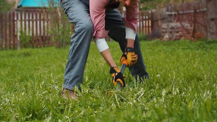백인 라이프스타일 계절 남자 행복 농업 청소년 자연 노동자 건강 한명 잔디 야외 초록색 농장 정원 봄 시골 잡기 잡초 농부 삽 심플 리빙 땅바닥 밭일 원예사 파종 4K MP4 해외동영상 클립영상 서양인 식물 직업 1 감정 산업 컬러 모션 바닥 사람 생활 농사 생태계 동영상 파일형식