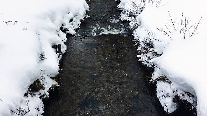 계절 겨울 자연 주택 풍경 사람없음 야외 물 강 흐름 시골 소나무 개울 숲 스위스 시골집 눈내림 틸트업 MOV 해외동영상 클립영상 자연요소 나무 유럽 컨셉 눈_날씨 촬영기법 건물 생태계 동영상 파일형식