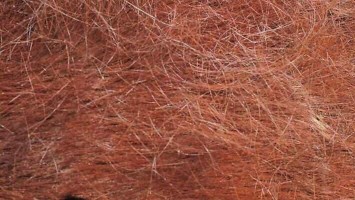 동물 백인 손 어린이 손가락 손바닥 초원 사람없음 옆모습 가을 다발 손목 갈기 목 뭉치 잡종 바비큐립 내추럴 감탄 인치 4K 순혈 MOV 해외동영상 클립영상 서양인 계절 뷰포인트 사람 신체부위 바비큐 동영상 파일형식