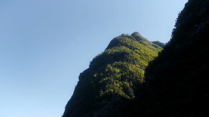 주간 나무 얼굴 여행 자연 산 노르웨이 사람없음 파란색 강 계곡 펼침 보트 숲 언덕 북쪽 유인원 타이틀 스칸디나비아 피오르 4K MOV 해외동영상 클립영상 자연요소 식물 유럽 컬러 배_교통 포유류 모션 신체부위 방향 생태계 지형 동영상 파일형식