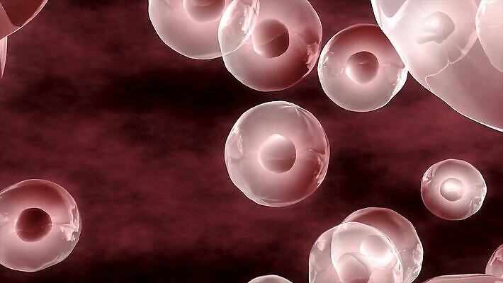 과학 백그라운드 세포 건강 현미경 사람 사람없음 약 질병 DNA 생물학 미생물 염색체 분열 애니메이션 데이터베이스 유전 셀룰러 MOV 해외동영상 클립영상 교육 의학 생물 실험기구 생명공학 동영상 파일형식