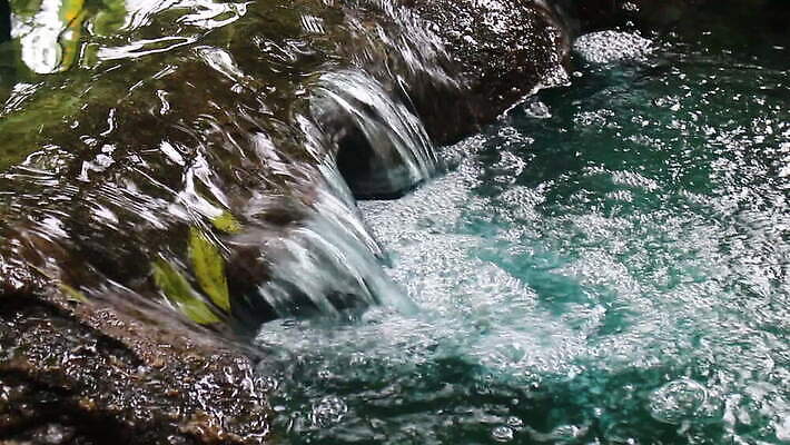 나무 식물 라이프스타일 단풍 태국 자연 날씨 사람없음 야외 물 강 마을 환경 침묵 봄 폭포 농촌 시골 연못 신선 개울 붓기 민물 핸드메이드 MOV 해외동영상 클립영상 자연요소 계절 아시아 잎 모션 생활 소리 생태계 동영상 파일형식