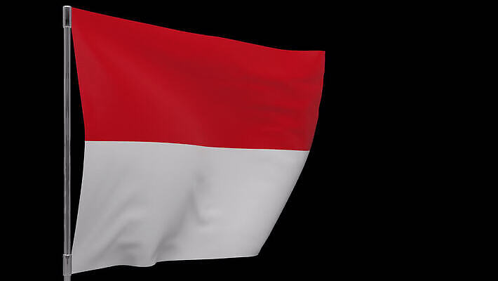 배너 물결 사람없음 깃발 깃대 봉 애국심 모나코 전국 4K MOV 해외동영상 클립영상 유럽 동영상 파일형식