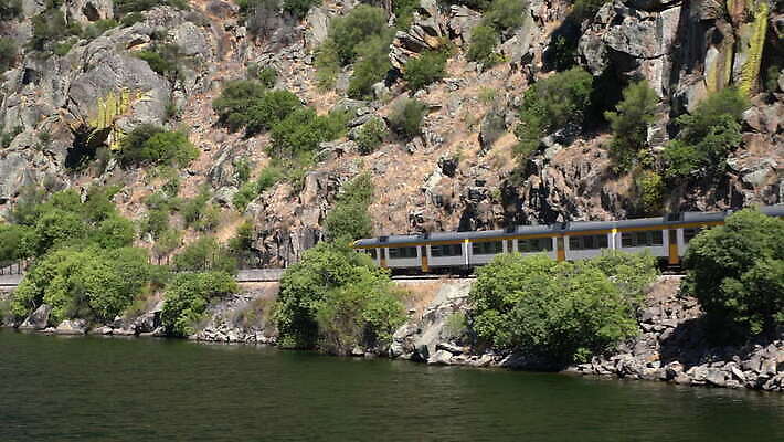 유럽 여행 모션 자연 사람없음 야외 옆모습 초록색 골짜기 계곡 기차 시골 크루즈 포르투갈 언덕 포도나무 마차 계단식 추적 도루강 선로 양조장 4K MOV 해외동영상 클립영상 나라 육상교통 교통수단 뷰포인트 컬러 배_교통 대중교통 과일나무 생태계 동영상 파일형식