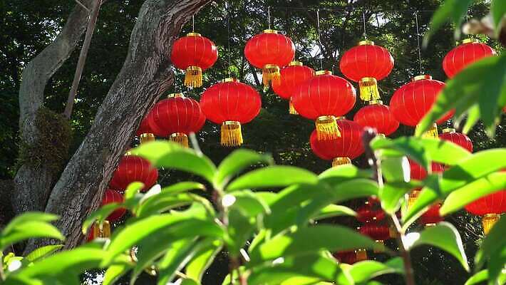 나무 전통 아시아 종교 문화 여행 백그라운드 자연 중국문화 매달리기 사람없음 야외 초록색 등불 축하 심볼 춘절 4K MOV 해외동영상 클립영상 식물 동양문화 명절 나라 컬러 외국문화 컨셉 모션 조명 생태계 중국전통 동영상 파일형식