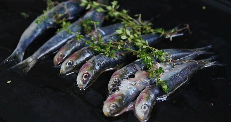 전통 유럽 음식 재료 건강 어류 요리 사람없음 야외 식사 저녁식사 신선 꼬치 스페인 바비큐 굽기 해산물 숯 점심식사 단백질 안달루시아 맛있는 4K MP4 해외동영상 클립영상 나라 수중동물 구이 동영상 영양소 파일형식