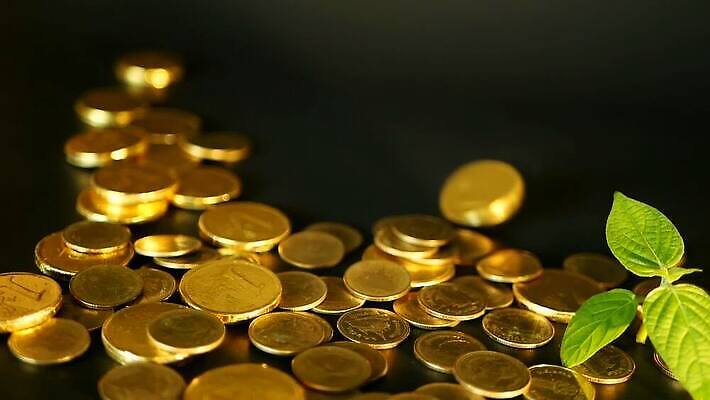 도로 길 컨셉 잎 돈 비즈니스 사람없음 초록색 금융 경제 빛 노란색 쌓기 달러 금속 동전 검은색 저축 성장 시장 재산 황금 주식 오솔길 오브젝트 무역 투자 보물 회계 고립 센트 MOV 해외동영상 클립영상 식물 산업 컬러 교통시설 모션 재질 동영상 파일형식