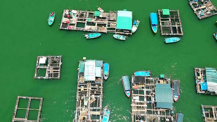 직업 라이프스타일 산업 바다 여행 농업 비즈니스 교통시설 자연 지붕 주택 안테나 사람없음 물 파란색 태양 항구 맑음 시골 만 보트 홍콩 단상 드론 뗏목 밭일 수경재배 MP4 해외동영상 클립영상 자연요소 교통수단 컬러 교통 배_교통 통신 날씨 건물 생활 중국 시설 생태계 동영상 파일형식
