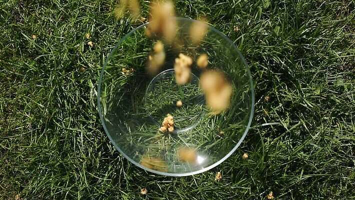 손 음식 백그라운드 건강 요리 잔디 사람없음 초록색 소풍 숟가락 맑음 식사 우유 견과류 시골 신선 조끼 투명 사발 붓기 떨어짐 아침식사 낟알 시리얼 먹기 유기농 날것 쏟아짐 섬유 내추럴 뮤즐리 오트밀 채식주의자 핸드메이드 개암 비건 그래놀라 MP4 해외동영상 슬로모션 클립영상 식물 웰빙 열매 컬러 컨셉 모션 날씨 유제품 촬영기법 수저 신체부위 야외활동 외투 직물 사기그릇 채식 동영상 파일형식 귀리