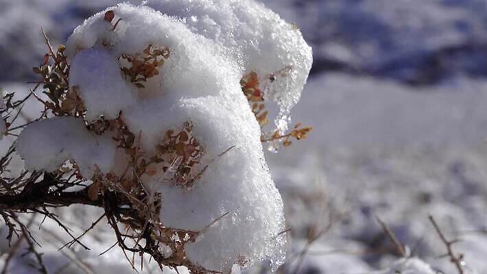 구름 공원 모래 여행 겨울 자국 자연 하늘 휴가 산 건조 파노라마 풍경 사람없음 야외 파란색 계곡 맑음 미국 트래킹 하이킹 사막 흰색 황무지 숲 언덕 캘리포니아 통과 내추럴 요세미티국립공원 전국 절정 4K MP4 해외동영상 클립영상 자연요소 계절 공공시설 컬러 북아메리카 레저 날씨 촬영기법 국립공원 생태계 동영상 파일형식