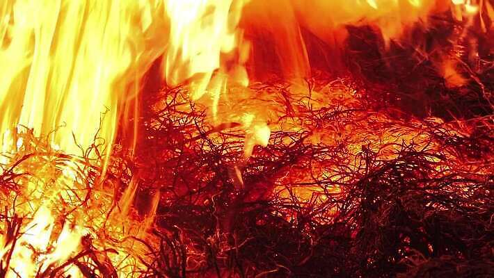 백그라운드 오렌지 모션 자연 벽지 불꽃 따뜻함 사람없음 빨간색 빛 노란색 검은색 힘 에너지 긴급 손전등 뜨거움 더위 야간 위험 모닥불 사건 묘사 벽난로 질감 매움 화재 연료 파열 연소 엘리먼트 점화 지옥 진짜 화상 4K HD MP4 해외동영상 클립영상 자연요소 컬러 컨셉 과일 불 날씨 조명 맛 상처 생태계 동영상 파일형식