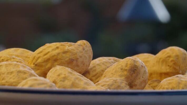 음식 백그라운드 다이어트 재료 탁자 디저트 건조 건강 씨앗 사람없음 야외 에너지 견과류 껍질 신선 그룹 사발 닫기 유기농 회전 날것 땅콩 흙더미 내추럴 되감기 숙성 식용 채식주의자 많음 맛있는 4K MOV 해외동영상 클립영상 식물 웰빙 가구 컨셉 모션 흙 사기그릇 채식 동영상 파일형식 더미