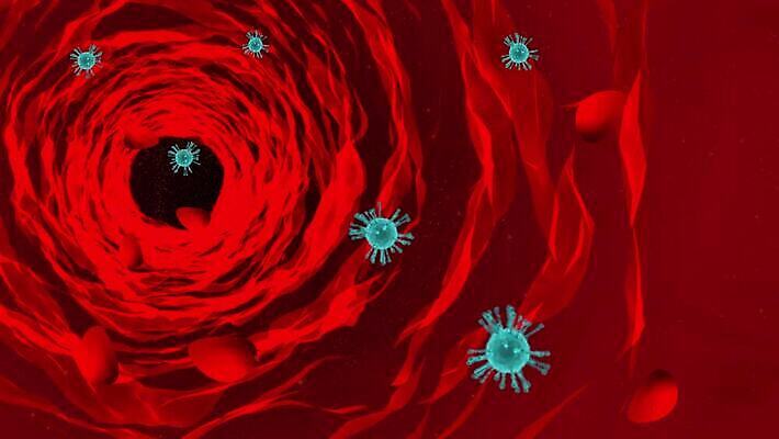 과학 백그라운드 추상 세포 건강 현미경 사람 사람없음 빨간색 약 3D 고통 흐름 열 혈액 바이러스 질병 위험 유기농 예방 생물학 함선 만들기 감염 전염 미생물 애니메이션 동맥 정맥 전염병 사스 코로나바이러스 4K MP4 해외동영상 클립영상 웰빙 교육 감정 컬러 컨셉 무늬 배_교통 의학 모션 생물 실험기구 디지털합성 혈관 동영상 파일형식