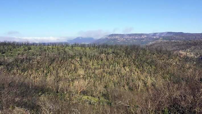 나무 구름 여행 자연 하늘 불 날씨 산 건조 안테나 풍경 사람없음 야외 초록색 여름 파란색 햇빛 갈색 환경 계곡 검은색 뜨거움 호주 숲 땅 언덕 암초 가뭄 동영상 드론 치유 4K MP4 해외동영상 클립영상 자연요소 식물 계절 컬러 통신 태양 오세아니아 생태계 파일형식