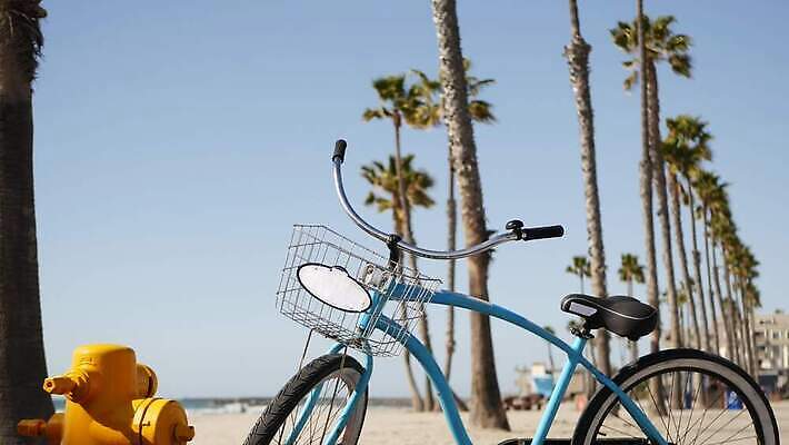 바다 여행 하늘 불 휴가 사람없음 여름 파란색 야자수 노란색 바구니 자전거 미국 순환 캘리포니아 주말 태평양 소화전 로스앤젤레스 4K 산타모니카 MP4 해외동영상 클립영상 자연요소 나무 계절 컬러 북아메리카 모션 바이크 안전장비 동영상 파일형식