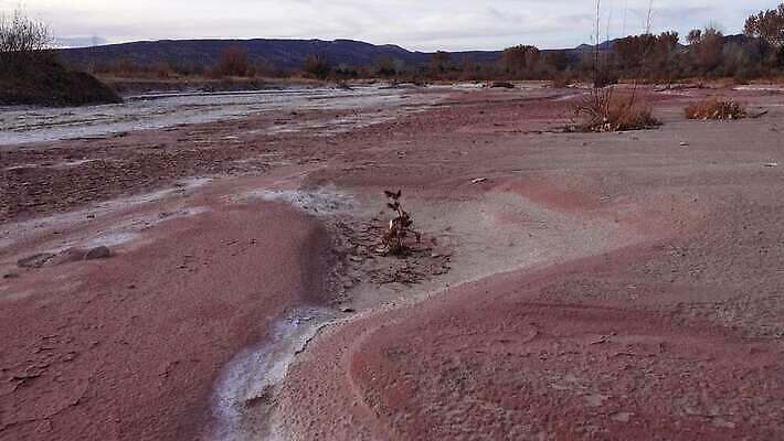 지구 백그라운드 오렌지 자연 표면 건조 사람없음 빨간색 갈색 환경 흙 사막 뜨거움 거친 황무지 균열 땅 부식 질감 먼지 점토 진흙 가뭄 다리찢기 내추럴 깨짐 땅바닥 생태학 탈수 4K MP4 해외동영상 클립영상 교육 컬러 컨셉 과일 모션 날씨 바닥 생태계 동영상 파일형식