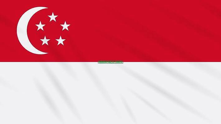 별 과학 백그라운드 건강 사람없음 치료 초록색 약 자유 깃발 고리 바이러스 질병 초승달 디지털합성 예방 생물학 감염 미생물 애니메이션 우표 박테리아 싱가폴 그런지 돌리기 백신 부정적 전염병 증상 치유 항생제 사스 코로나바이러스 4K MOV 해외동영상 클립영상 자연요소 교육 감정 아시아 컬러 컨셉 의학 모션 생물 달 동영상 파일형식