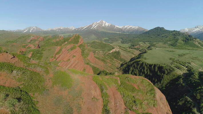 나무 로우앵글 여행 자연 하늘 산 안테나 사람없음 빨간색 파란색 맑음 저녁 숲 언덕 속도 침엽수 가문비나무 키르기스스탄 4K 설정숏 MOV 해외동영상 클립영상 식물 뷰포인트 컬러 통신 날씨 촬영기법 야간 생태계 동영상 중앙아시아 파일형식
