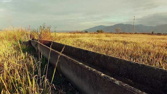 식물 산업 백그라운드 밭 농업 자연 풍경 초원 사람없음 야외 초록색 물 농작물 농장 농경지 장비 젖음 수확 성장 흰색 시골 밀 분무기 시스템 대두 땅바닥 물뿌리기 밭일 스프링쿨러 호밀 4K MP4 해외동영상 클립영상 자연요소 컬러 모션 곡류 바닥 생태계 동영상 파일형식