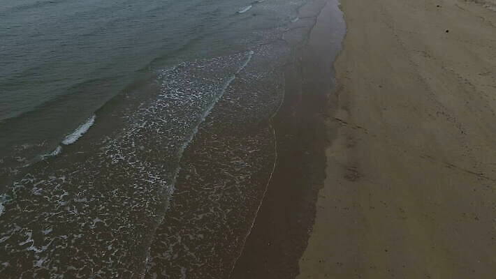 나무 선 모래 파도 바다 여행 백그라운드 자연 휴가 휴식 한국 손바닥 사람없음 야외 건물 초록색 물 파란색 여행객 평화 침묵 흰색 충돌 고도 태평양 항공촬영 드론 착륙 비어있는 4K MOV 해외동영상 클립영상 자연요소 식물 건축물 손 아시아 뷰포인트 컬러 컨셉 사람 소리 생태계 동영상 파일형식