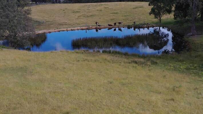 나무 호수 여행 잎 농업 자연 산 안테나 풍경 사람없음 야외 초록색 물 파란색 농장 반사 갈색 환경 계곡 가축 소 호주 군중 댐 언덕 드론 밭일 4K MP4 해외동영상 클립영상 자연요소 식물 동물 공공시설 산업 컬러 통신 포유류 사람 오세아니아 생태계 동영상 파일형식