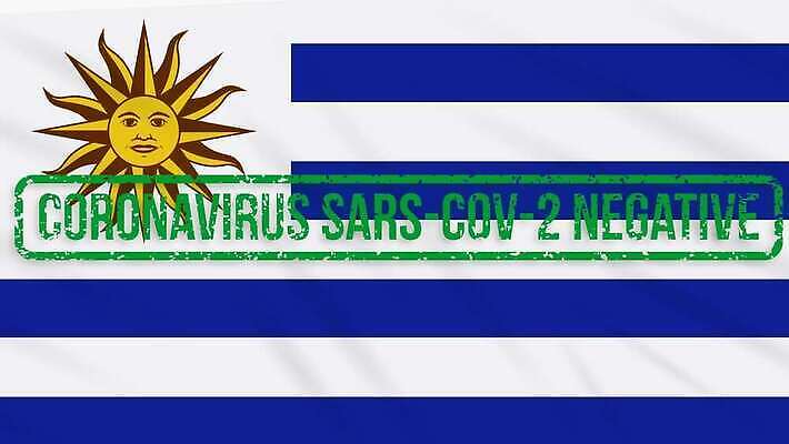 과학 백그라운드 신체 세포 건강 사람없음 치료 초록색 약 자유 깃발 고리 바이러스 질병 디지털합성 예방 생물학 감염 미생물 애니메이션 우표 박테리아 돌리기 백신 부정적 우루과이 전염병 증상 치유 항생제 사스 코로나바이러스 4K MOV 해외동영상 클립영상 교육 감정 컬러 컨셉 의학 모션 생물 남아메리카 동영상 파일형식