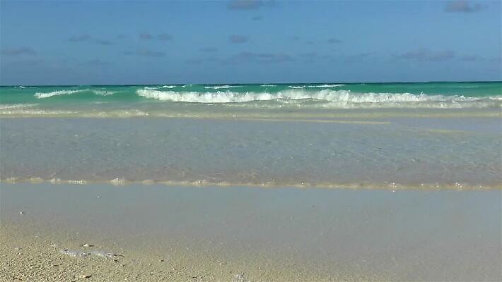 모래 파도 바다 섬 여행 자연 조류 휴가 휴식 사람없음 야외 물 파란색 모래사장 맑음 탈출 쿠바 카리브해 내추럴 터키석 파라다이스 MP4 해외동영상 클립영상 자연요소 동물 컬러 컨셉 날씨 중앙아메리카 보석 생태계 동영상 파일형식