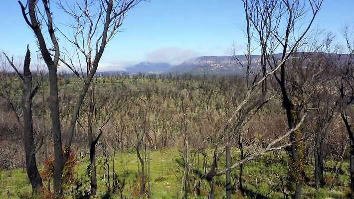 나무 구름 여행 자연 하늘 불 날씨 산 건조 안테나 풍경 사람없음 야외 초록색 여름 파란색 햇빛 갈색 환경 계곡 검은색 뜨거움 호주 숲 땅 언덕 암초 가뭄 동영상 드론 치유 4K MP4 해외동영상 클립영상 자연요소 식물 계절 컬러 통신 태양 오세아니아 생태계 파일형식
