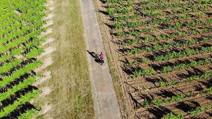 나무 길 스포츠 여행 우산 자연 하늘 휴가 안테나 건강 사람 경사 사람없음 야외 친구 운동 태양 맑음 자전거 언덕 속도 오르막 드론 바이킹 선로 슬로베니아 조감도 크로스컨트리 4K MP4 해외동영상 클립영상 자연요소 식물 유럽 통신 관계 날씨 바이크 생태계 동영상 파일형식