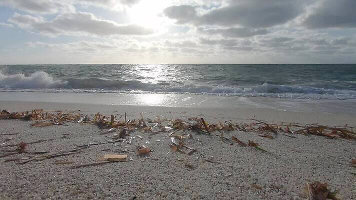 모래 파도 바다 조류 하늘 휴가 휴식 파노라마 해변 사람없음 빛 모래사장 햇빛 태양 반사 평화 일출 침묵 황혼 일몰 놀람 새벽 거품 낭만 젖음 흰색 떨어짐 탈출 각도 장면 암초 스카이라인 격파 석회암 수평선 MOV 해외동영상 클립영상 자연요소 동물 감정 컬러 컨셉 모션 촬영기법 표정 노을 소리 암석 동영상 파일형식
