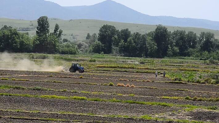 식물 계절 산업 지구 밭 농업 옥수수 사람없음 초록색 농작물 농장 경작 기계 흙 장비 운전 수확 성장 시골 당기기 농부 땅 밀 타이어 먼지 트랙터 엔진 내추럴 디젤 땅파기 밭일 실행 쟁기 파종 MOV 해외동영상 클립영상 직업 컬러 모션 곡류 농사 농기계 특수차량 동영상 파일형식