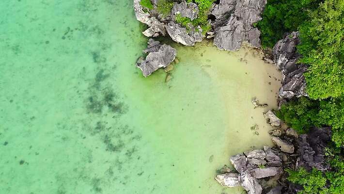 나무 아시아 모래 바다 섬 여행 자연 휴가 열대 해변 사람없음 물 맑음 암석 만 보트 암초 석호 석회암 이국적 터키석 4K MOV 해외동영상 클립영상 자연요소 식물 나라 배_교통 날씨 돌_바위 보석 생태계 동영상 파일형식