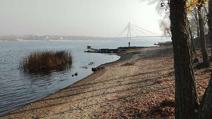 나무 호수 모래 오렌지 자연 하늘 아침 오리 사람없음 야외 빨간색 물 빛 강 햇빛 반사 노란색 평화 침묵 안개 버드나무 장면 낚시꾼 암초 청둥오리 미루나무 우크라이나 4K MP4 해외동영상 클립영상 주간 자연요소 식물 유럽 컬러 컨셉 과일 조류 날씨 태양 소리 생태계 동영상 파일형식