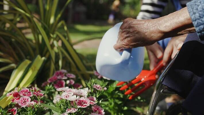 여자 노년 꽃 딸 행복 할머니 태국 휴식 주택 건강 미소 사람 동양인 잔디 성인 야외 두명 운동 건강관리 정원 중국 장비 물뿌리개 환자 도움 은퇴 휠체어 원예 돌봄 뒤뜰 옛날 정형외과 지원 헬프 4K MOV 해외동영상 클립영상 식물 감정 아시아 컨셉 의학 가족 모션 표정 병원 관리 인종 취미 건물 동영상 파일형식