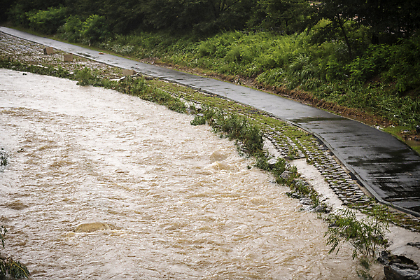 포토 JPG 주간 사람없음 야외 강 산책로 비 홍수 자연재해 폭우 공원길 성남 흙탕물 국내포토 자연요소 길 날씨 물 재해 경기도 파일형식