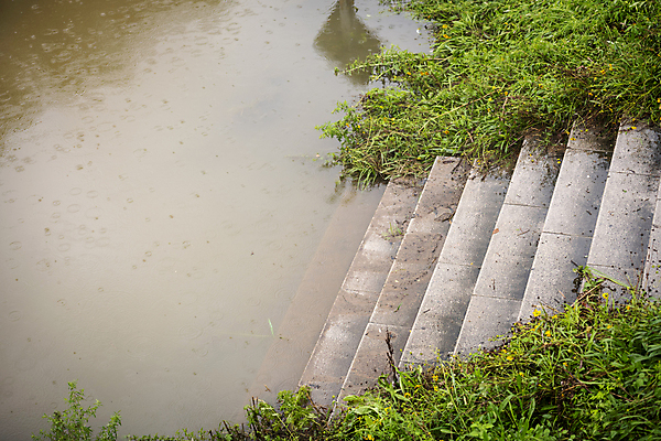 포토 JPG 주간 사람없음 야외 계단 풀 비 홍수 자연재해 폭우 성남 흙탕물 국내포토 자연요소 식물 날씨 물 재해 경기도 파일형식