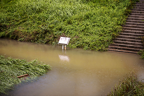 포토 JPG 주간 공원 알림판 사람없음 야외 계단 표지판 비 홍수 자연재해 폭우 성남 흙탕물 국내포토 자연요소 공공시설 날씨 물 재해 경기도 파일형식