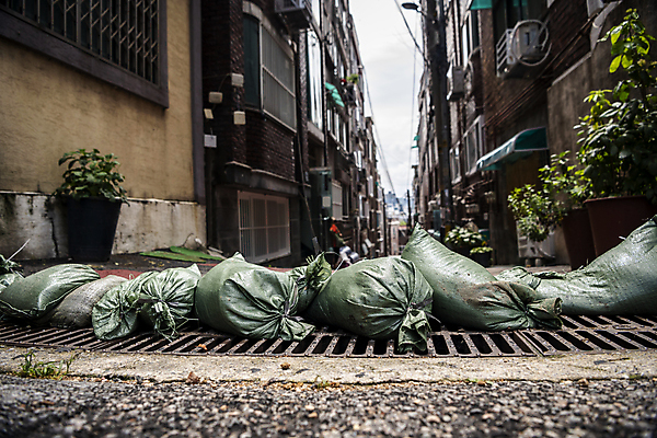 포토 JPG 주간 도로 사람없음 야외 비 골목길 홍수 자연재해 빌라 폭우 배수구 모래주머니 성남 국내포토 자연요소 길 교통시설 날씨 주택 재해 경기도 파일형식