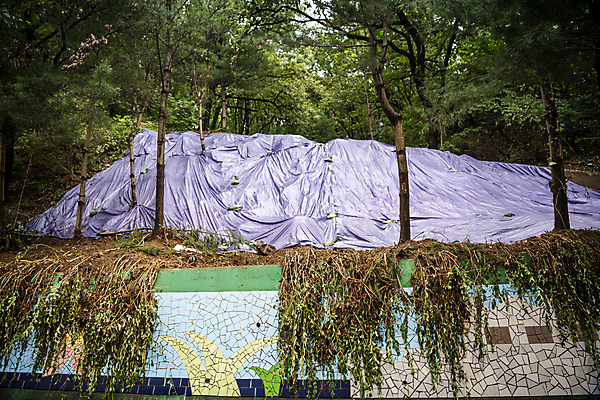 포토 JPG 주간 나무 산 사람없음 야외 담장 비 자연재해 예방 폭우 가림막 성남 국내포토 자연요소 식물 날씨 재해 경기도 파일형식