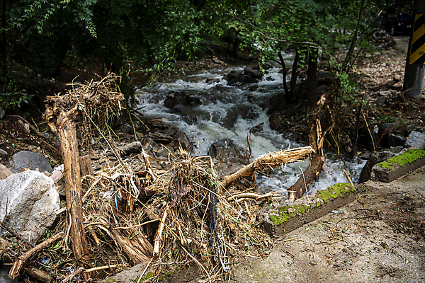 포토 JPG 주간 나무 사람없음 야외 계곡 손상 비 자연재해 폭우 성남 쓰러짐 무너짐 국내포토 자연요소 식물 컨셉 모션 날씨 재해 경기도 파일형식