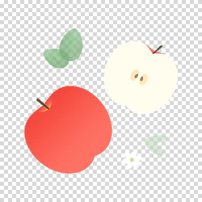 편집 편집이미지 잎 단면 누끼 사람없음 사과 PNG 사과꽃 편집소스 식물 꽃 과일 파일형식