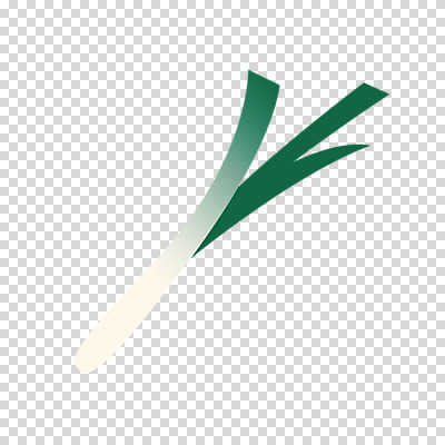 편집 편집이미지 누끼 사람없음 파 PNG 대파 편집소스 채소 파일형식