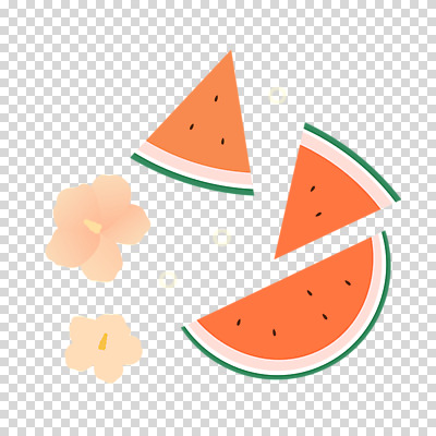 편집 편집이미지 과일 수박 누끼 사람없음 PNG 수박조각 히비스커스 편집소스 꽃 조각 파일형식