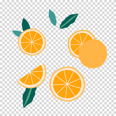 편집 편집이미지 잎 단면 귤 누끼 사람없음 PNG 편집소스 식물 과일 파일형식